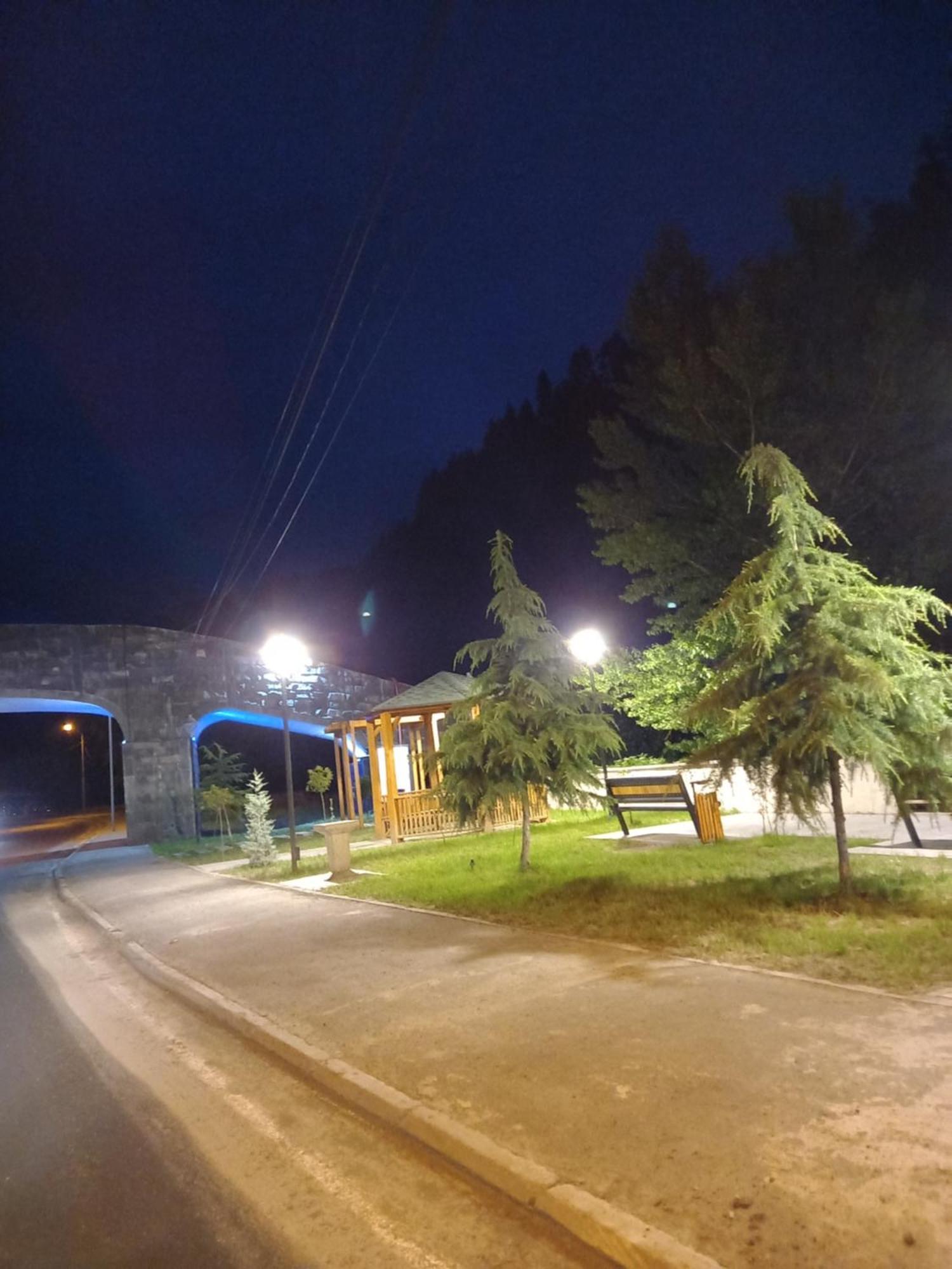 Guest House Tengiz Borjomi Ngoại thất bức ảnh
